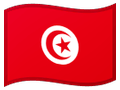 Tunus bayrağı