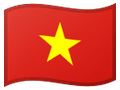 Vietnam bayrağı